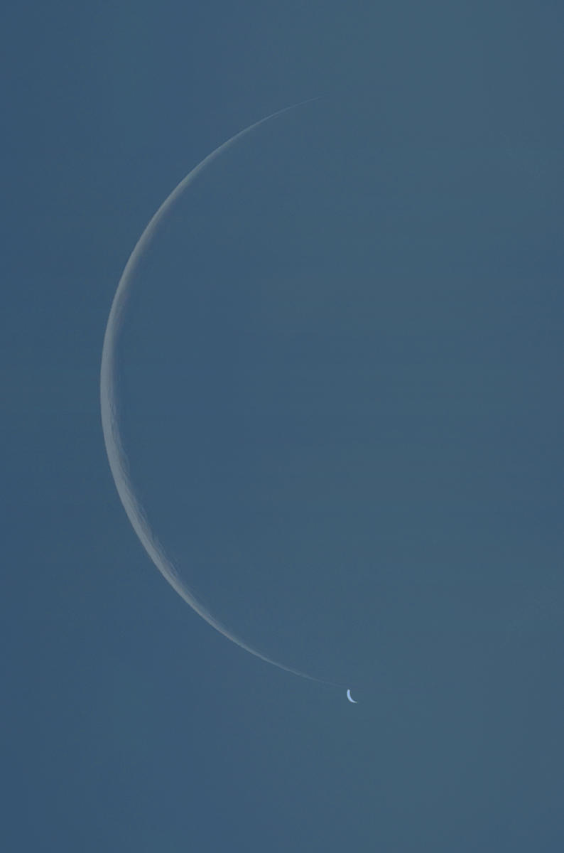 Occultazione Luna - Venere 19 Giugno 2020